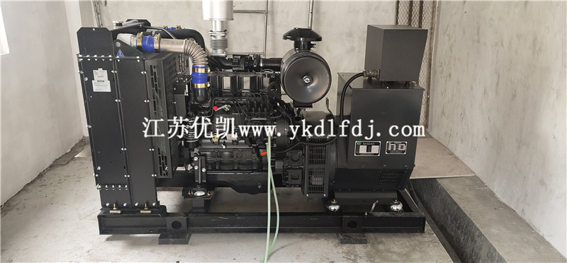 2021年1月26日，100KW上柴發(fā)電機組交付廣西防城港某養(yǎng)豬場使用