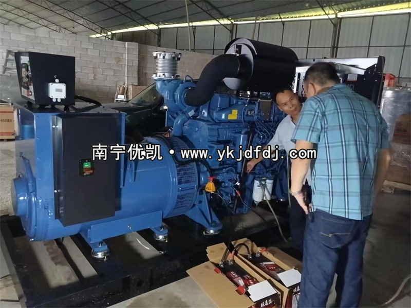 2023年6月27日，越南項目出口500kw玉柴發(fā)電機組并試機