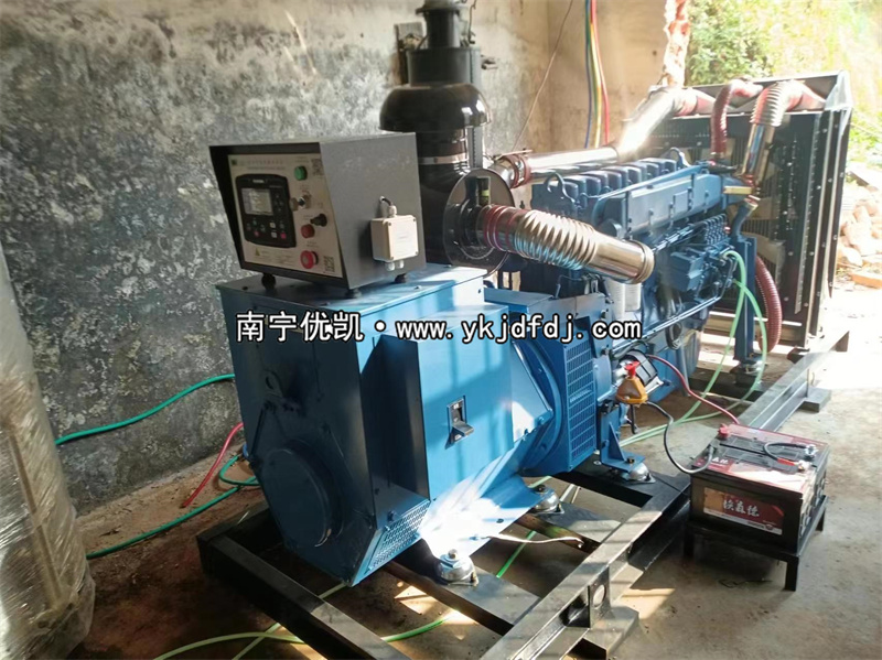 2024年3月5日，200kw濰坊雷納發(fā)電機(jī)組某學(xué)校到貨安裝