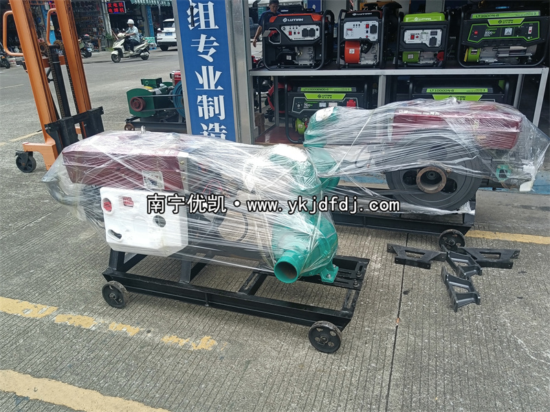 2024年7月30日，國外項目出口兩臺4寸柴油水泵機組及4臺清水泵